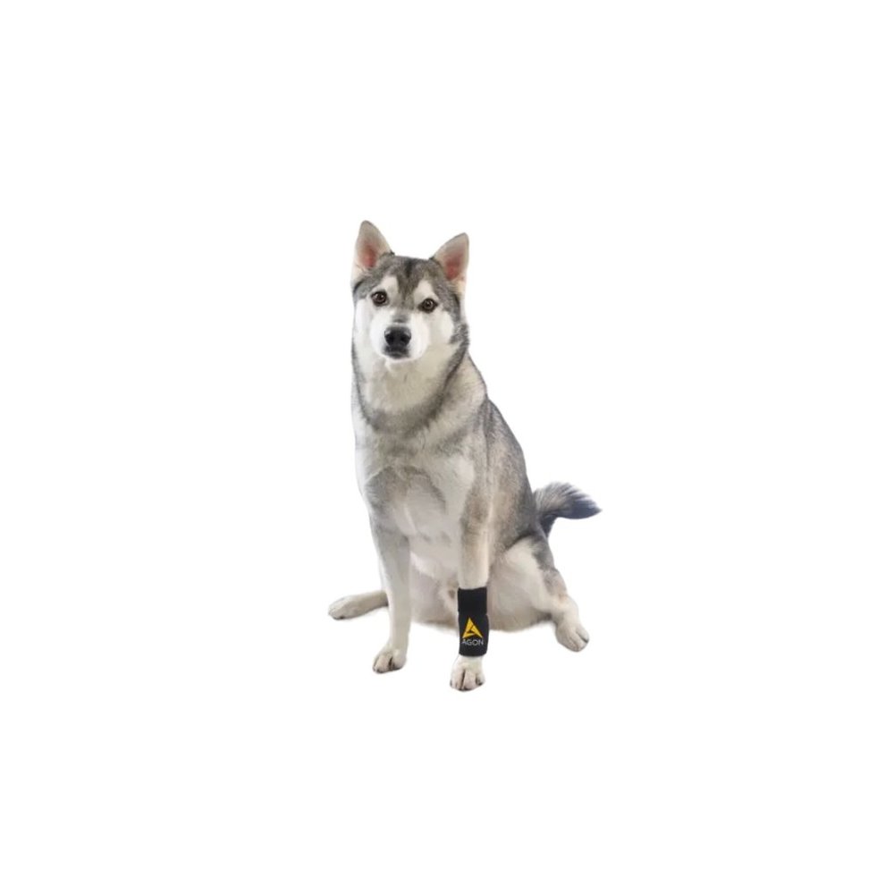 Agon® Dog Front Leg Brace Paw Compression Wraps [DS002Y] - Picture 3 of 11